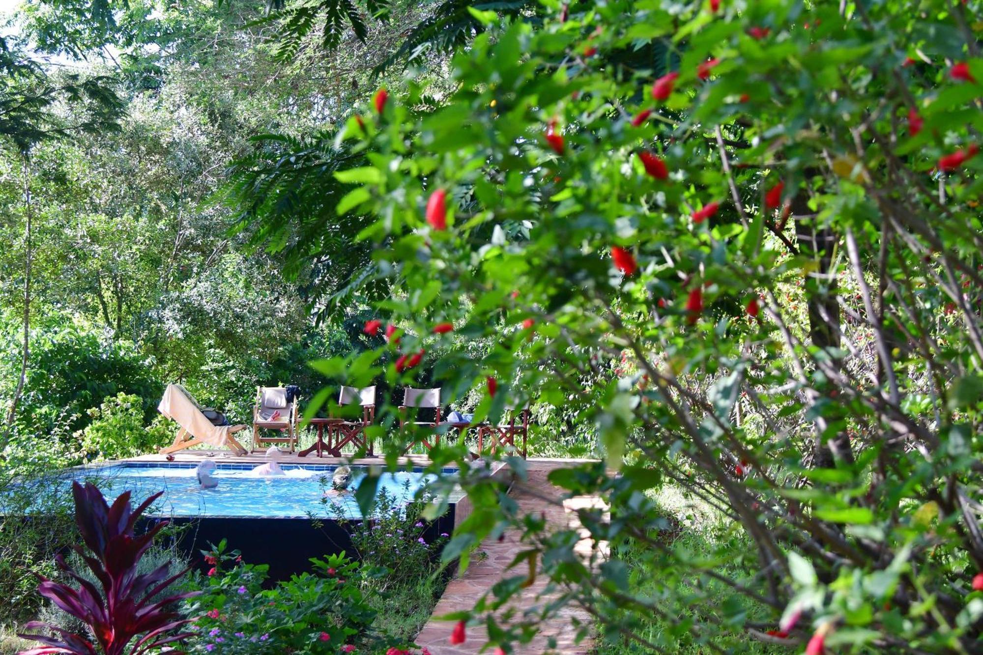 Tanzanice Farm Lodge Karatu Eksteriør bilde